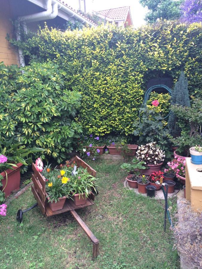 Casa Roble Anejo Bed & Breakfast Santa Cruz Luaran gambar