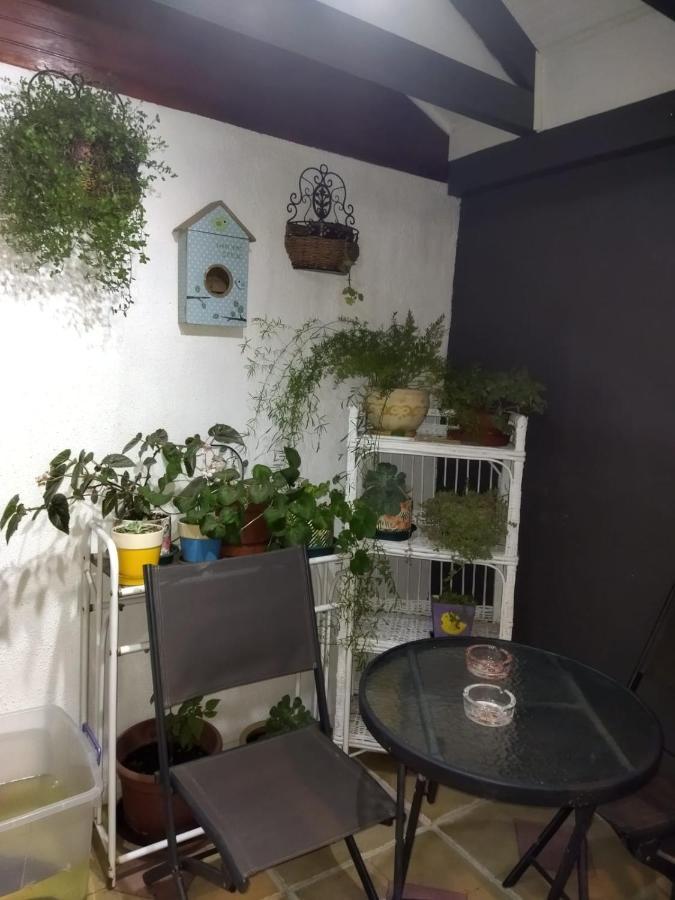 Casa Roble Anejo Bed & Breakfast Santa Cruz Luaran gambar